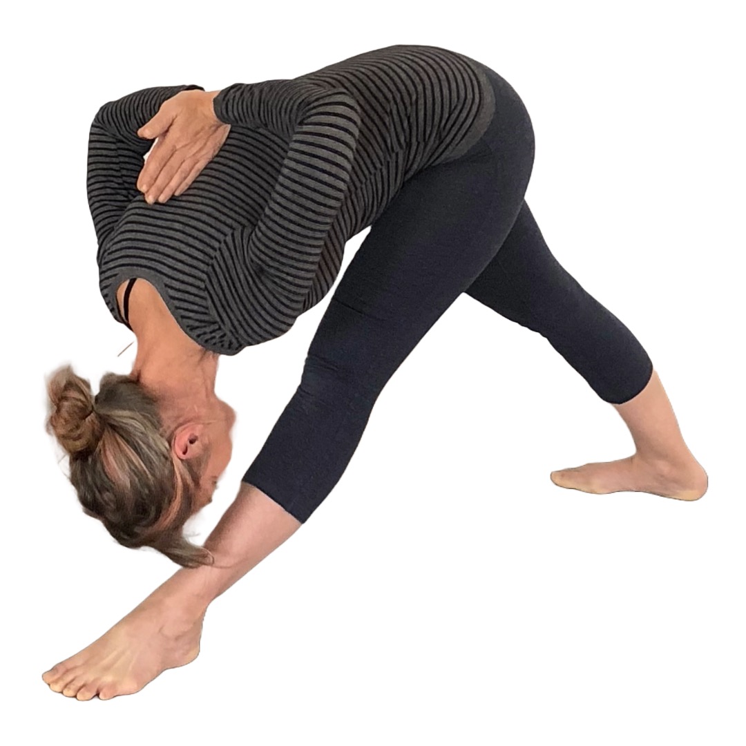 Iyengar Yoga Newcastle Beginners Classes